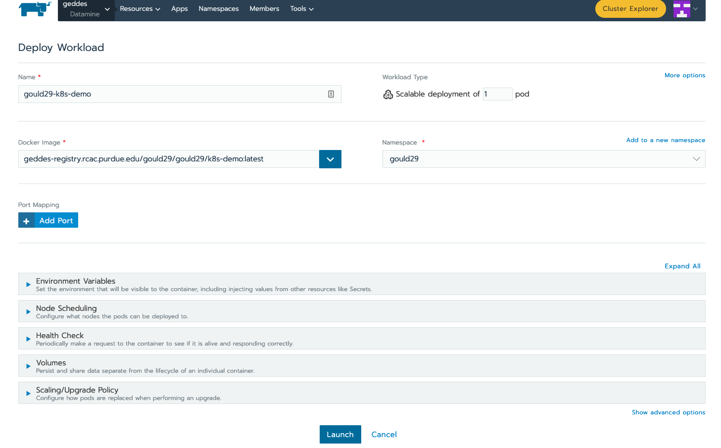 Showing the required Rancher fields for the workload deployment.